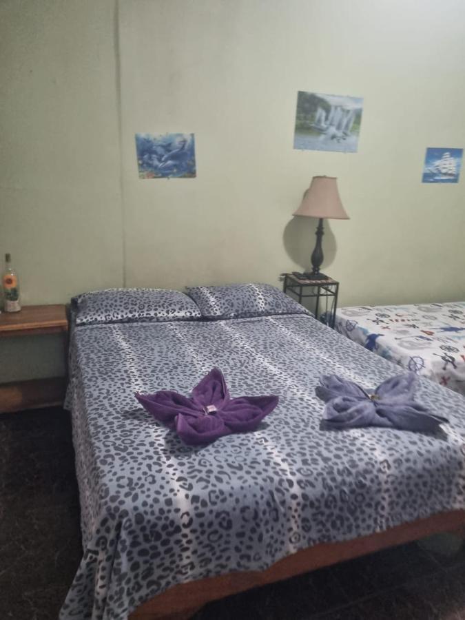 Hotel Paradise Alajuela Río Segundo Exteriér fotografie